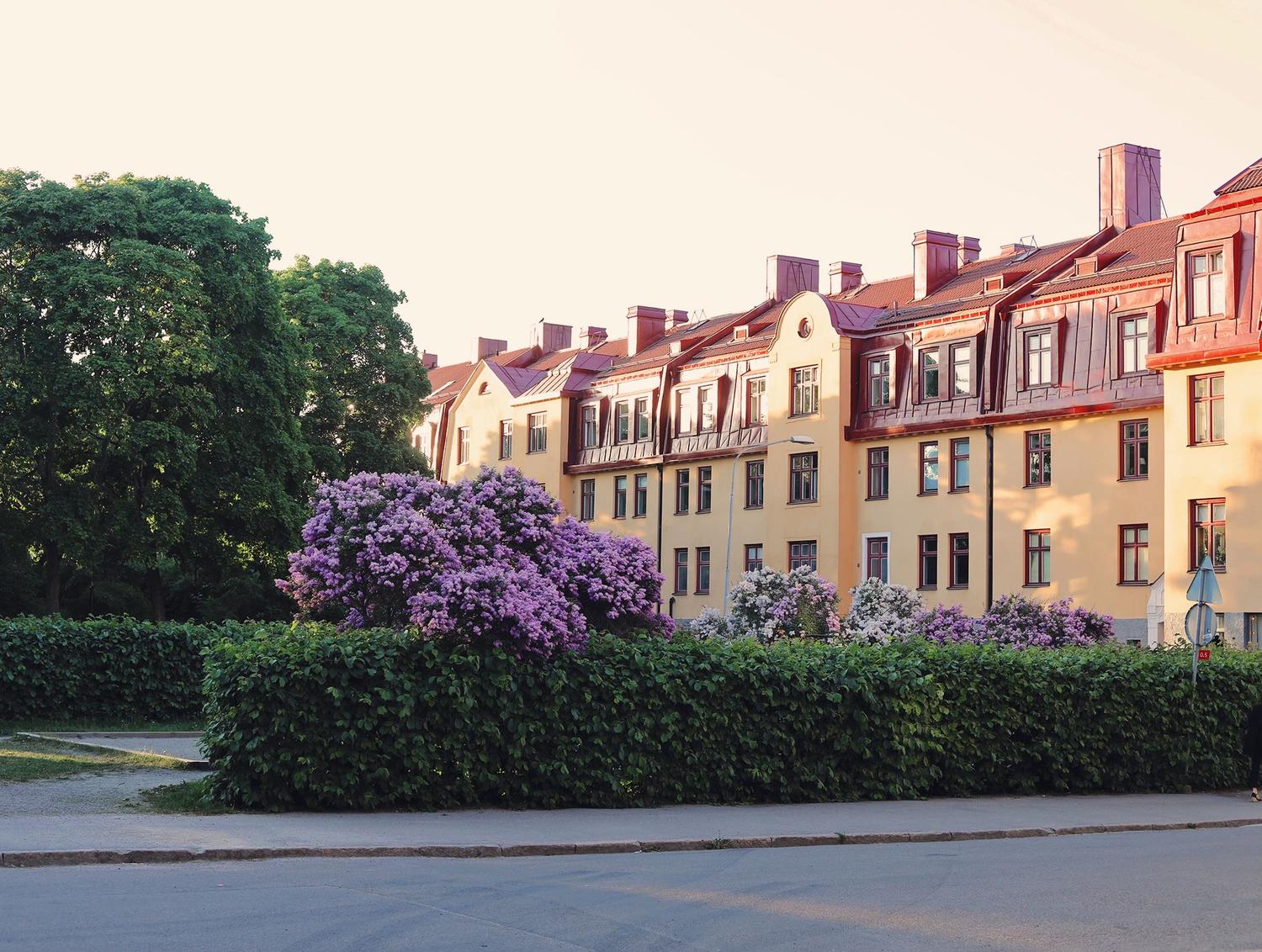 Midsommarkransen